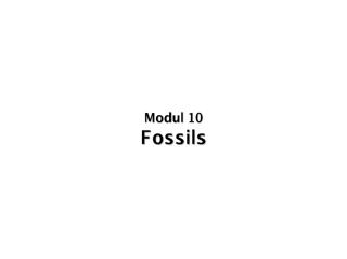 modul 10 - fossils.pdf