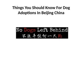 Things You Should Know For Dog Adoptions In.pptx