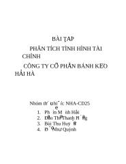 Phan-tich-tinh-hinh-tai-chinh-cong-ty-co.doc